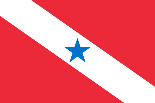 Bandeira: Pará