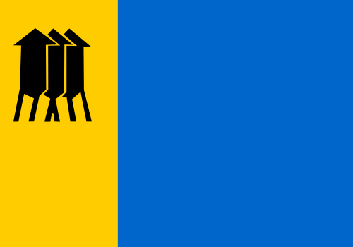 Bandeira: Porto Velho
