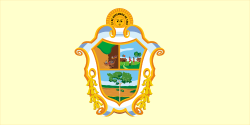 Bandeira: Manaus