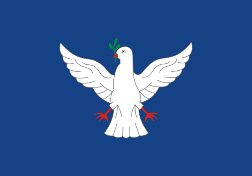 Bandeira: Salvador