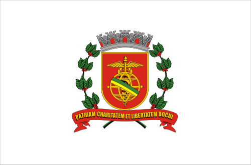 Bandeira: Santos