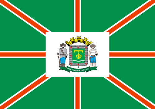 Bandeira: Goiânia